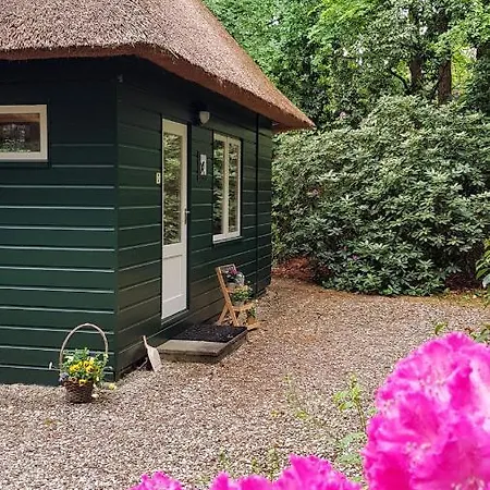 Сasa de vacaciones 't Musje