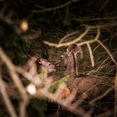 't Musje Сasa de vacaciones *