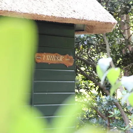 Semesterbostad 't Musje Epe