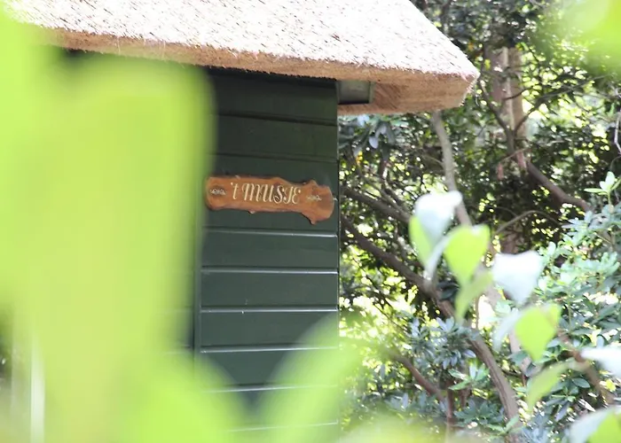 Semesterbostad 't Musje Epe