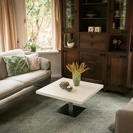 Vakantiehuis 't Musje Hébergement de vacances Epe