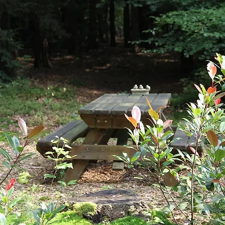 Hébergement de vacances Vakantiehuis 't Musje Epe