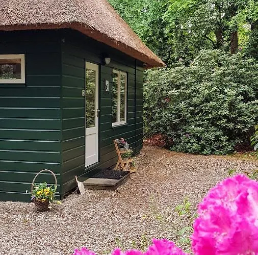 Hébergement de vacances Vakantiehuis 't Musje