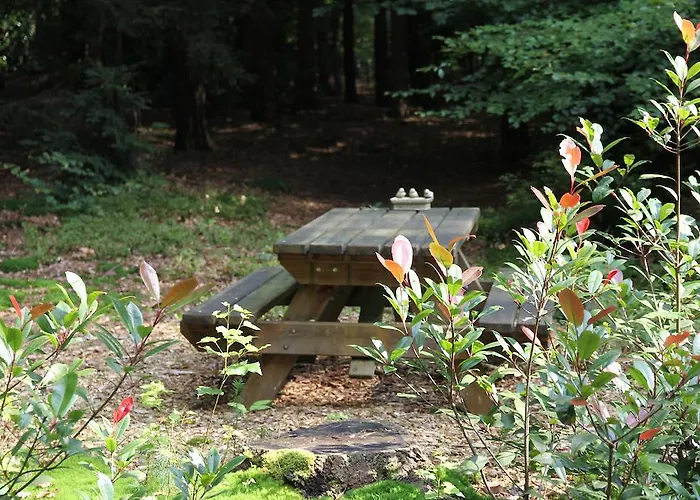 Hébergement de vacances Vakantiehuis 't Musje Epe